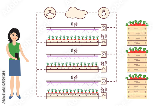 Woman controls the smart farm and agriculture.