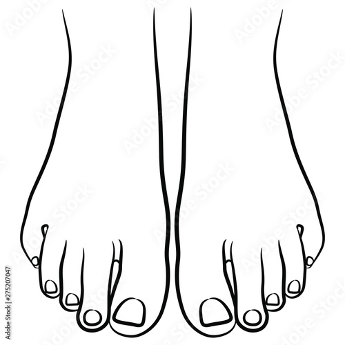 Top view of two bare human feet. Black and white linear silhouette.