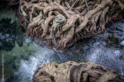 Beautiful natural and river astonishing verdant forest in Thailand