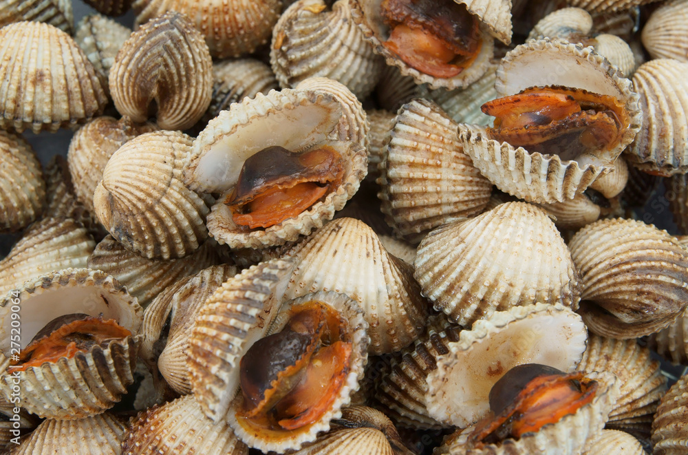 Raw cockle seashells Raw cockle seashells