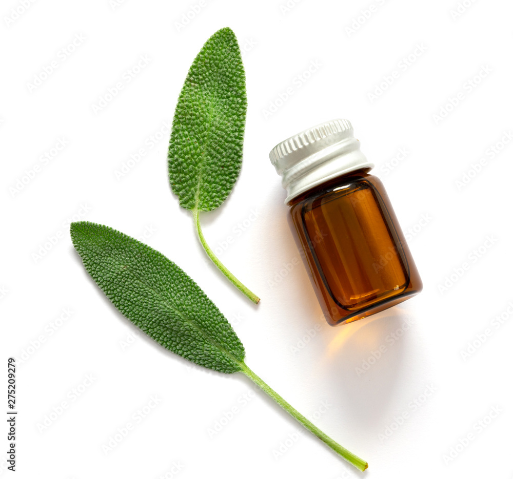 Close up fresh green sage herb leaf with a bottle of essential oil on white background , herb essence concept Close up fresh green sage herb leaf with a bottle of essential oil on white background , herb essence concept