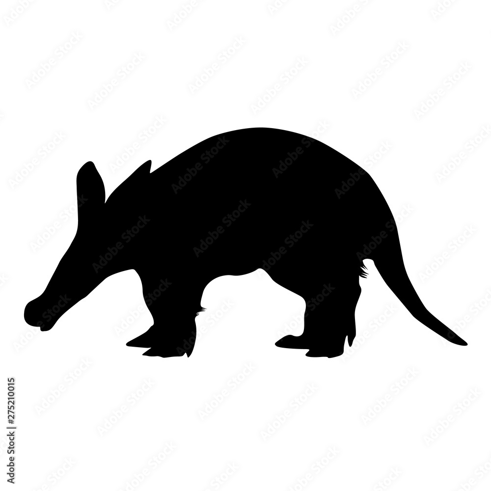 Aardvark Silhouette Isolated On White
