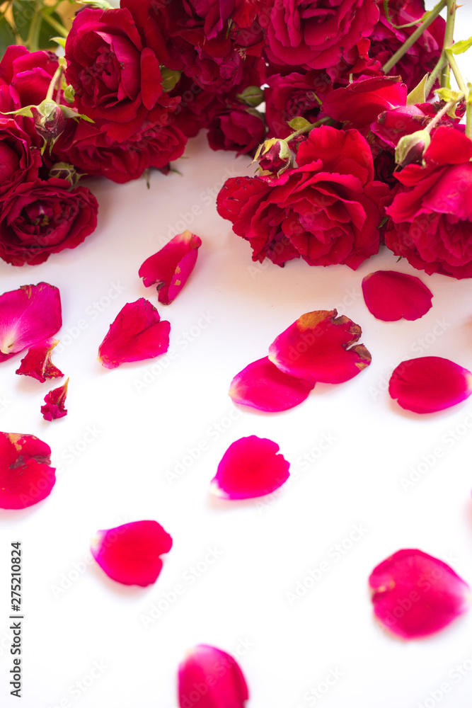 Red roses on a white background. Bouquet for Valentine's Day or wedding. Romantic flowers on the gift Red roses on a white background. Bouquet for Valentine's Day or wedding. Romantic flowers on the gift