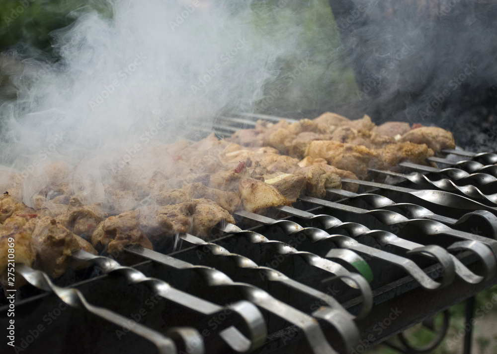 Meat cooks on hot coals in the smoke. Pork. Picnic in nature. Meat cooks on hot coals in the smoke. Pork. Picnic in nature.