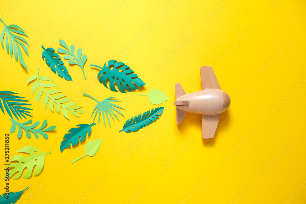 small wooden toy airplane lucky by summer - obrazy, fototapety, plakaty 