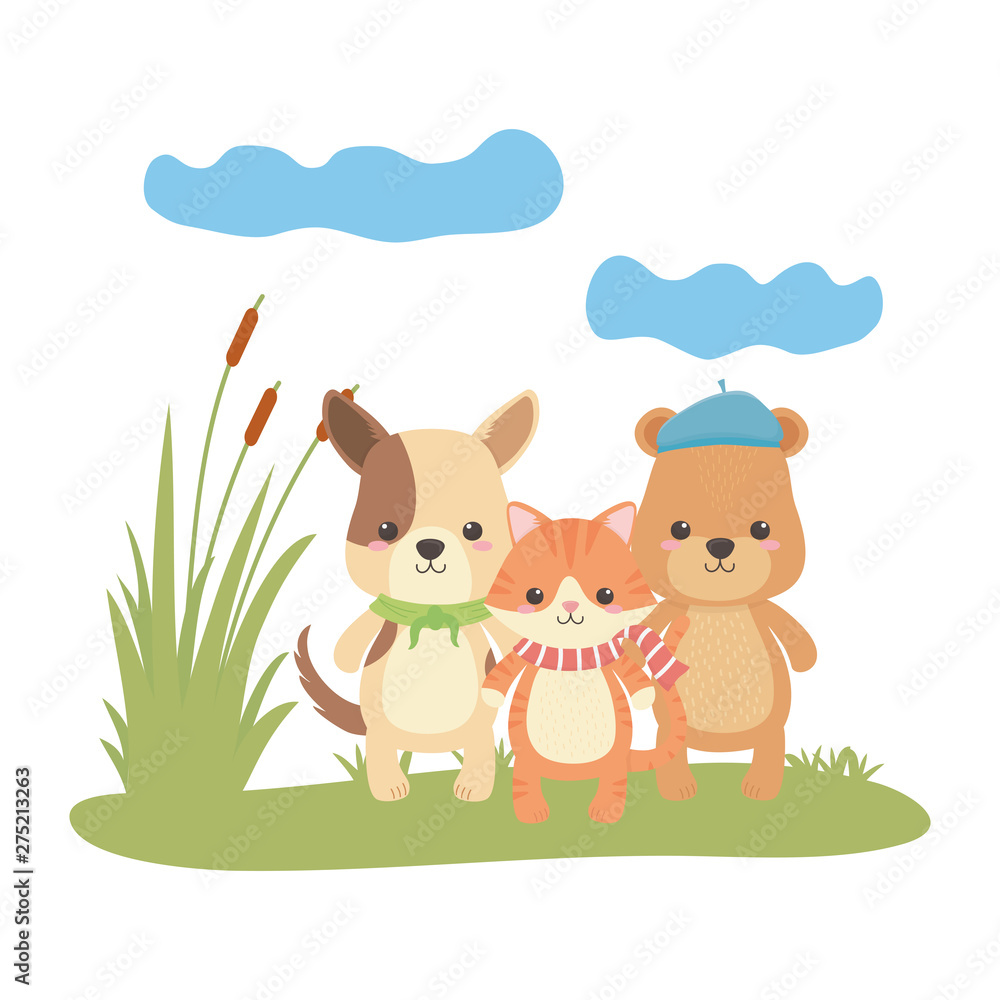 Fototapeta premium Cat dog and bear cartoon design
