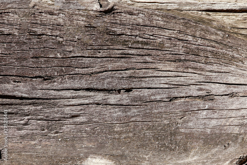 Wood, wood texture backbackground, old wood, wood texture vintage style photo