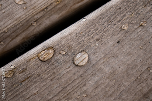 Wallpaper Mural focused water drop wood Torontodigital.ca