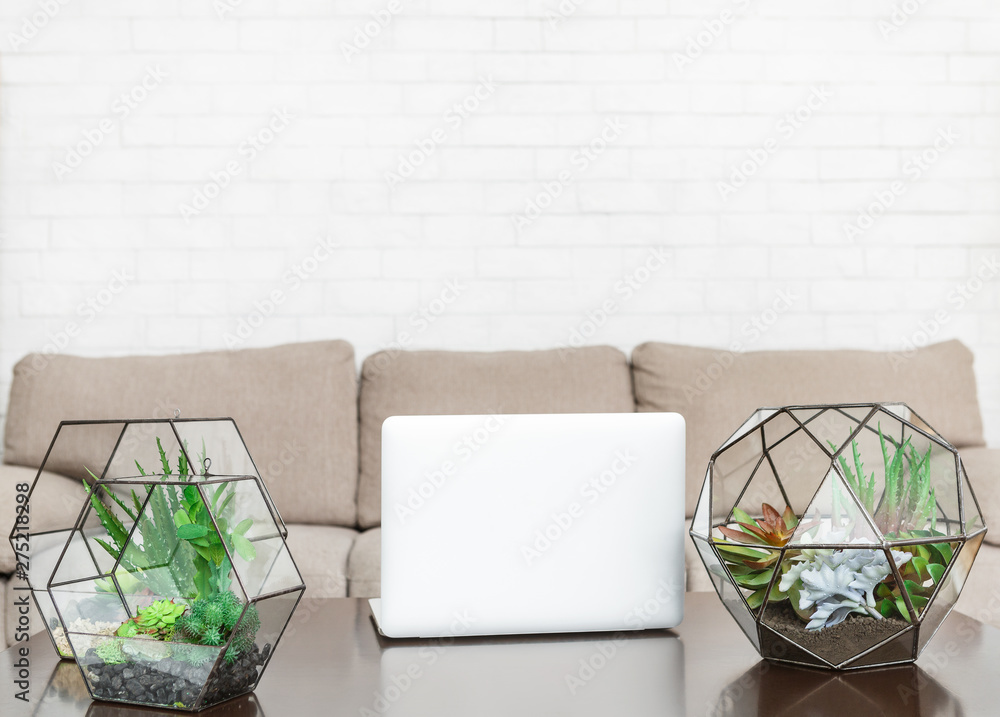 Glass florarium vases with plants and laptop on table