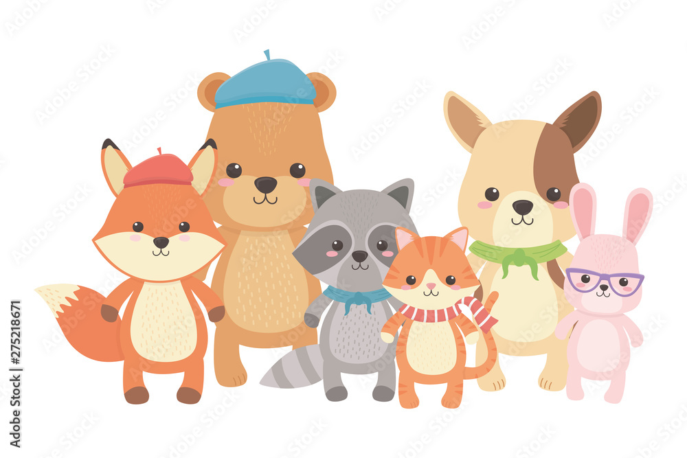 Cat fox raccoon bear dog and rabbit design Cat fox raccoon bear dog and rabbit design
