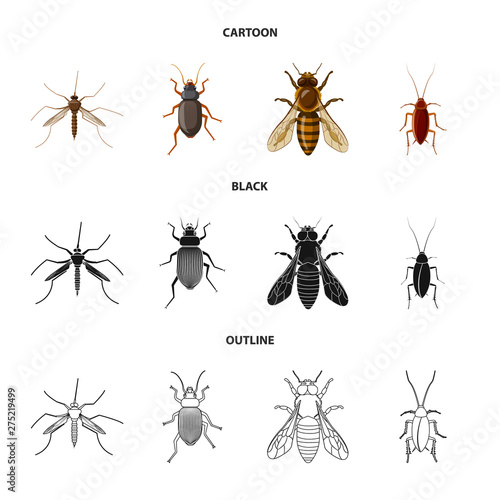Vector design of insect and fly sign. Set of insect and element vector icon for stock.