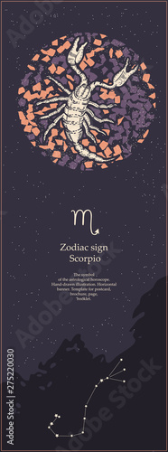 Zodiac sign Scorpio. The symbol of the astrological horoscope. Hand-drawn illustration. Vertical banner. Template for postcard, brochure, page, booklet.
