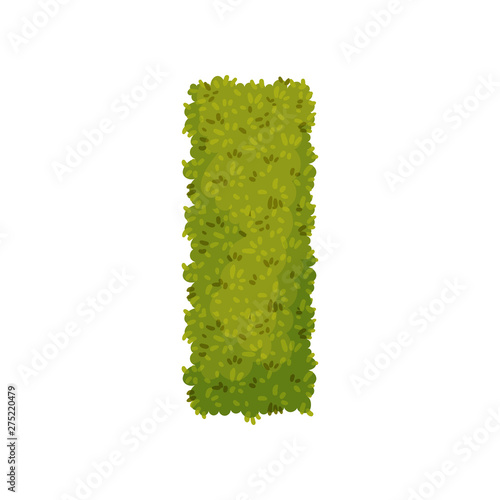 Bush in the shape of a rectangle. View from above. Vector illustration on white background.