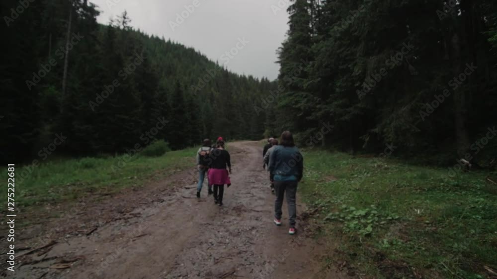 Group of people walking through a forest in slow motion Group of people walking through a forest in slow motion