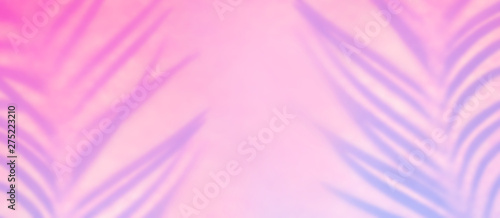 Shadow of tropical leaf in trendy duotone backlight. Abstract background in pink lilac neon colors