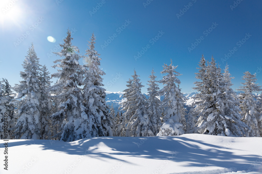 Winter landscape with snow trees and mountains, alps mountains