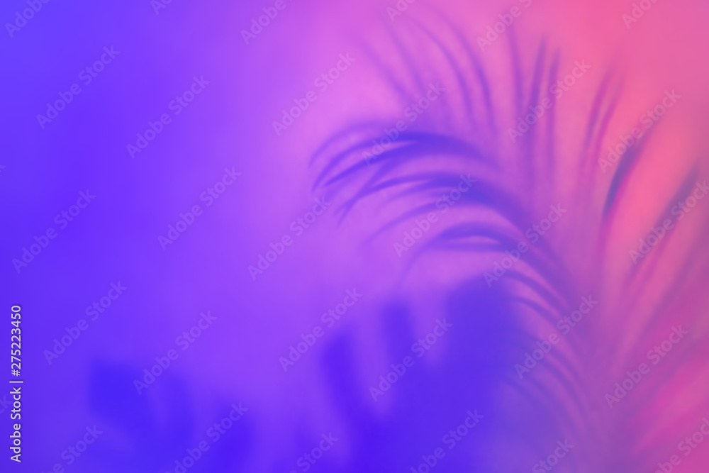 Tropical palm leaf shadow in trendy duotone neon backlight. Abstract floral backdrop in purple colors Tropical palm leaf shadow in trendy duotone neon backlight. Abstract floral backdrop in purple colors