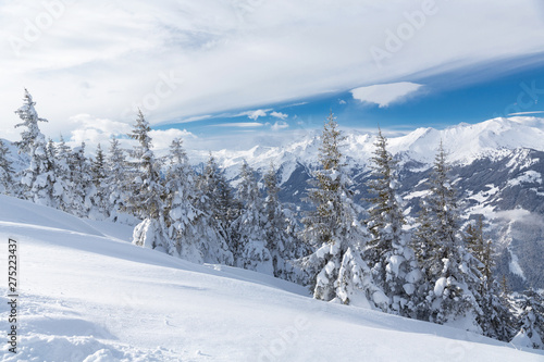 Winter landscape with snow trees and mountains, alps mountains