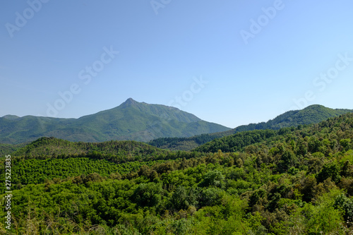 Green mountain forest on a solid blue sky in Catalonia Pyrenees landscape