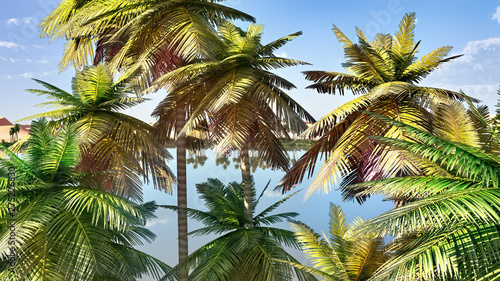 Palm trees near oasis in Africa 3d rendering © satori