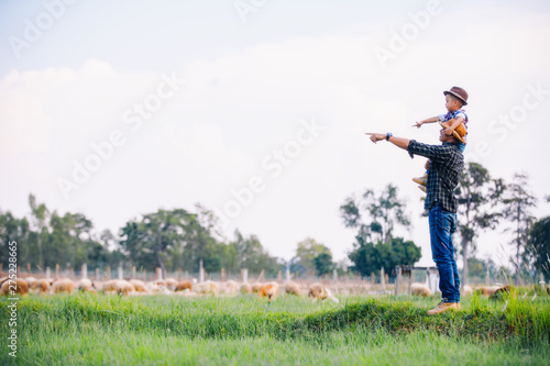 father and son in sheep farm; Farmers take care and feed the animals on the farm.sheep and goat in countryside farm