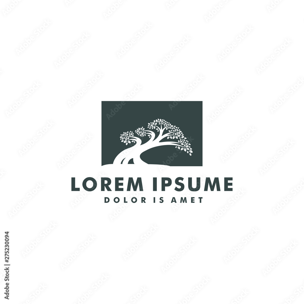 Fototapeta premium tree logo template. bonsai design icon symbol - vector