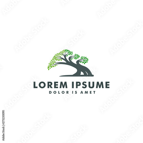 tree logo template. bonsai design icon symbol - vector