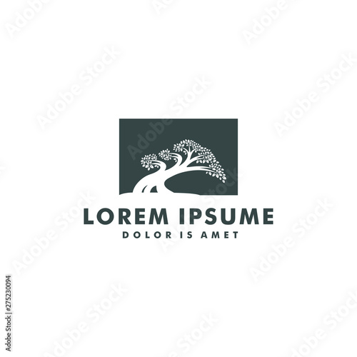 tree logo template. bonsai design icon symbol - vector
