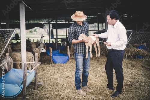 Veterinarians advise farmers to raise sheep and goats; Caring and supporting farmers and providing funding for farm