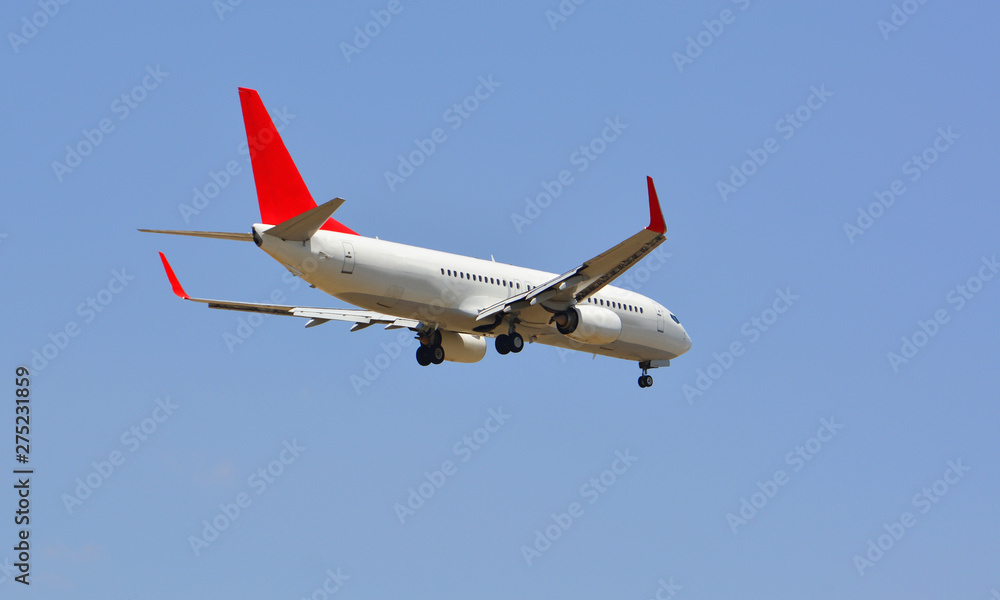 Obraz premium Passenger Aircraft