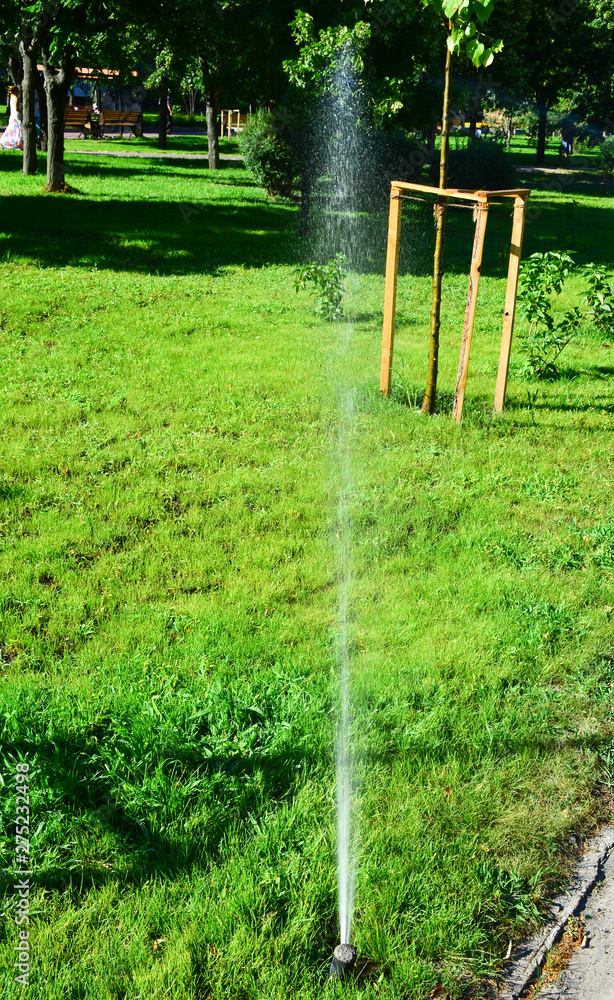 Fototapeta premium The system of watering plants in parks