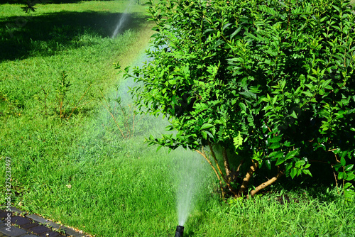 The system of watering plants in parks