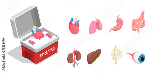 Human Organs Isometric Set