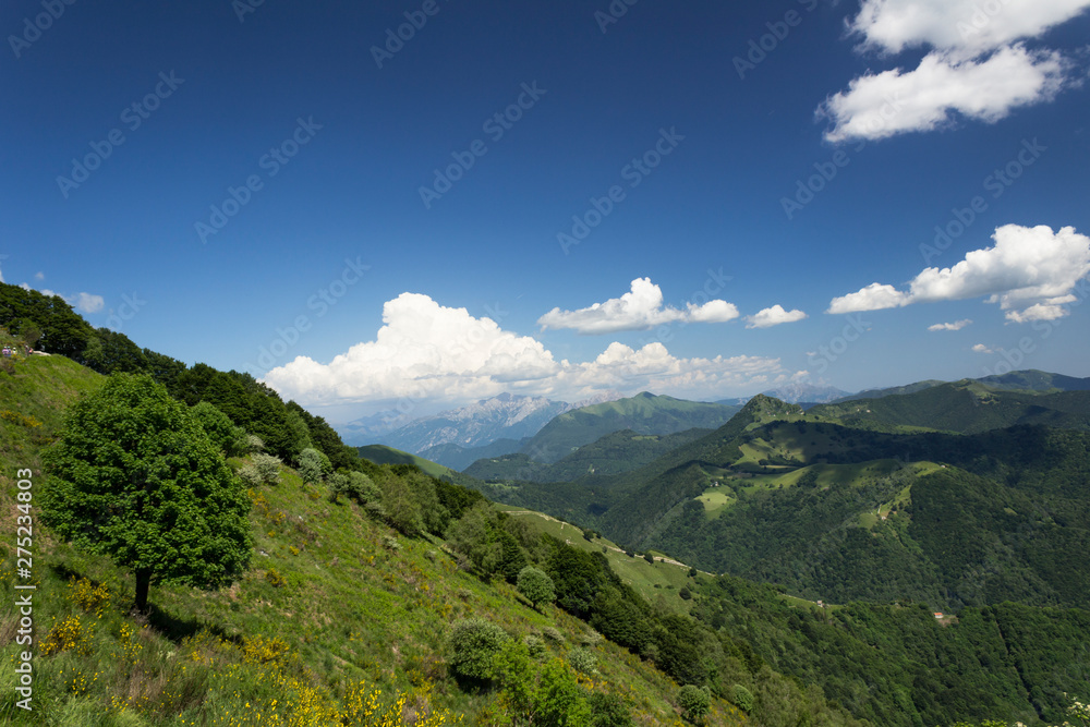 Panorama of the Swiss Alps