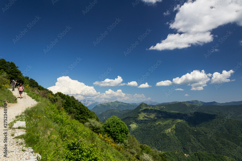Panorama of the Swiss Alps