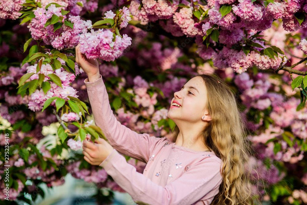 Fototapeta premium Girl cherry flower background. Happy spring vacation. Park and garden. Girl little child in spring flower bloom. Enjoy smell of tender bloom sunny day. Sakura flower concept. Gorgeous flower beauty