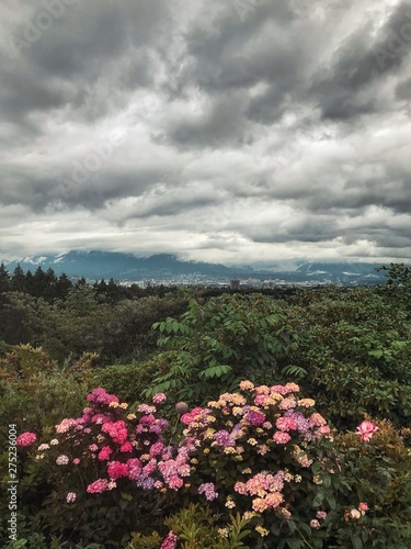 Cloudy Vancouver © Irena