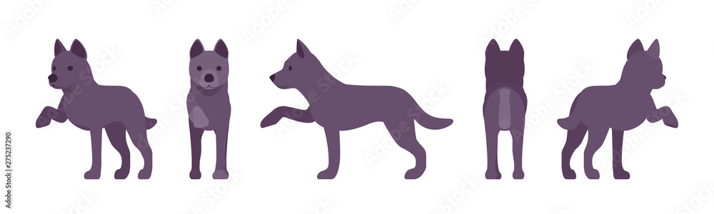 Black dog giving paw. Medium size compact pet, family companion for active fun, home guarding, farm security, cute agile breed. Vector flat style cartoon illustration, white background, different view