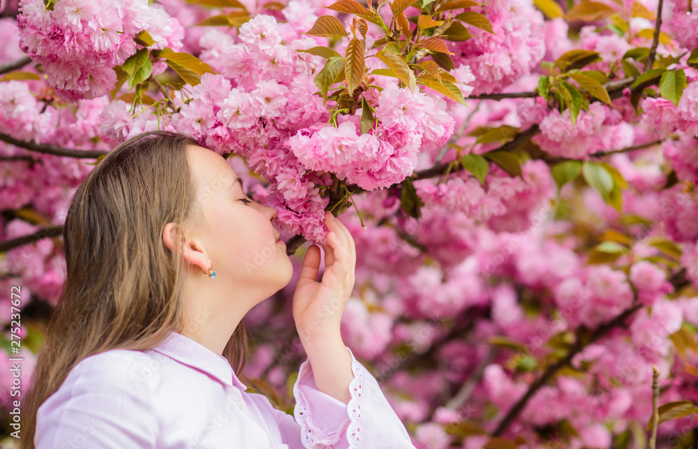 Fototapeta premium Happy spring vacation. Spring in botany garden. That is how spring smells. Tender bloom. Little girl enjoy spring. Kid on pink flowers of sakura tree background. Kid enjoying cherry blossom sakura
