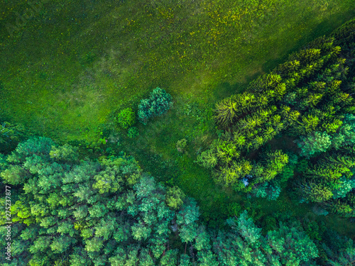 Summer warm sun light forest aerial view with green field