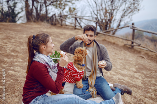 Overjoyed cute multicultural couple sitting on blanket at picnic and feeding dog with sandwich. Autumn season. © dusanpetkovic1