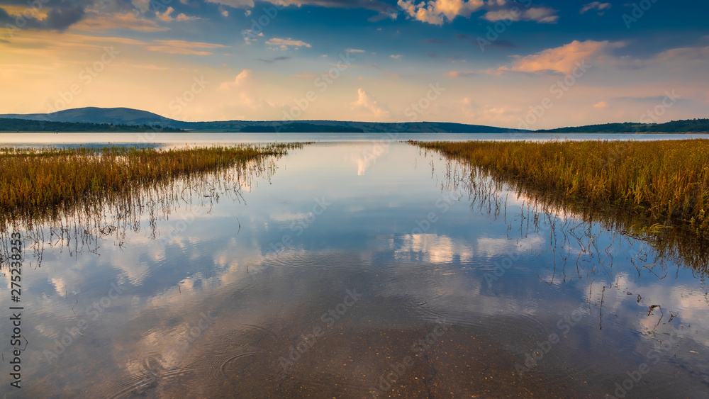 The calm waters of a lake channel with some water grass around under blue sky with some smooth clouds at sunset