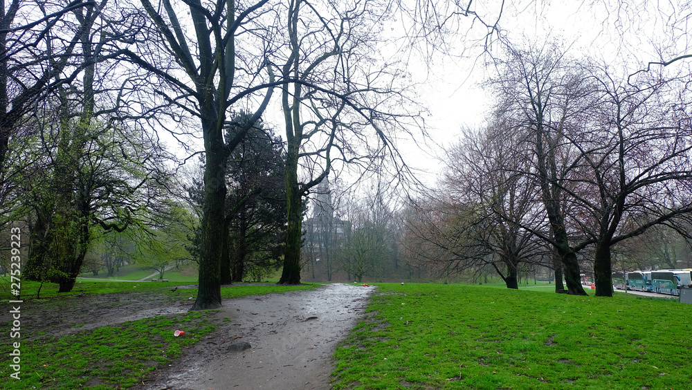 rain forest park background nature in raining season, nice walking way peace environment wallpaper rain forest park background nature in raining season, nice walking way peace environment wallpaper
