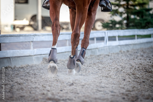 Legs of a horse galloping around