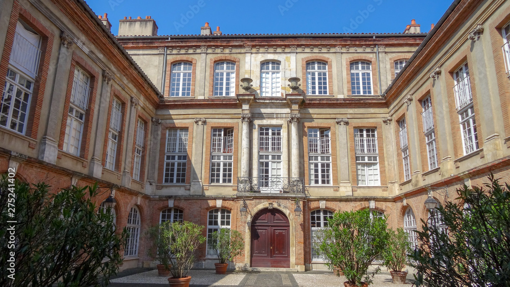 Fototapeta premium Toulouse - big and bright city in France