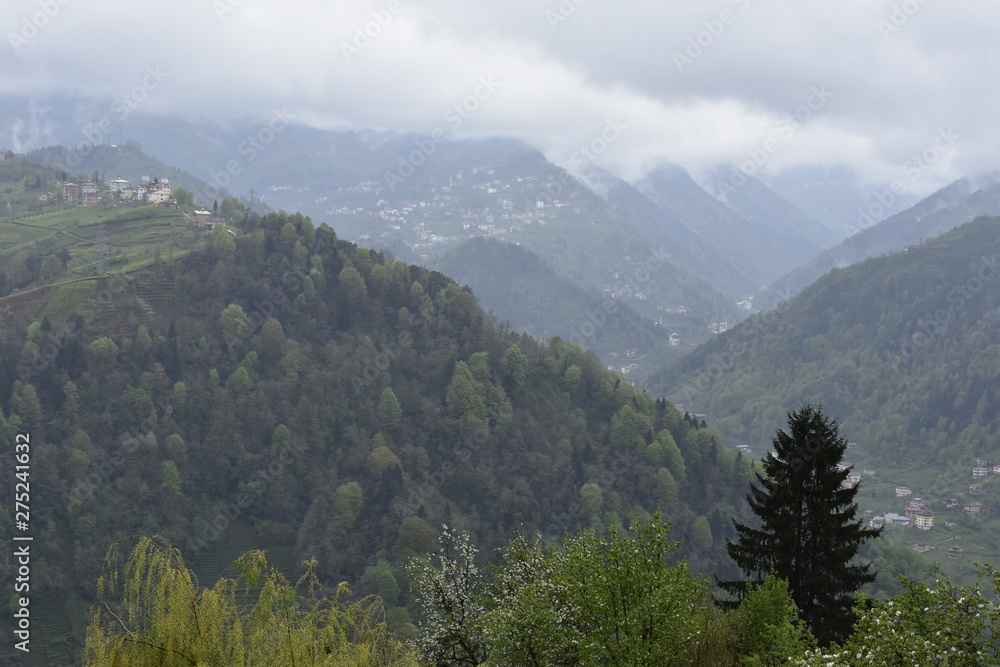 Fototapeta premium view of mountains