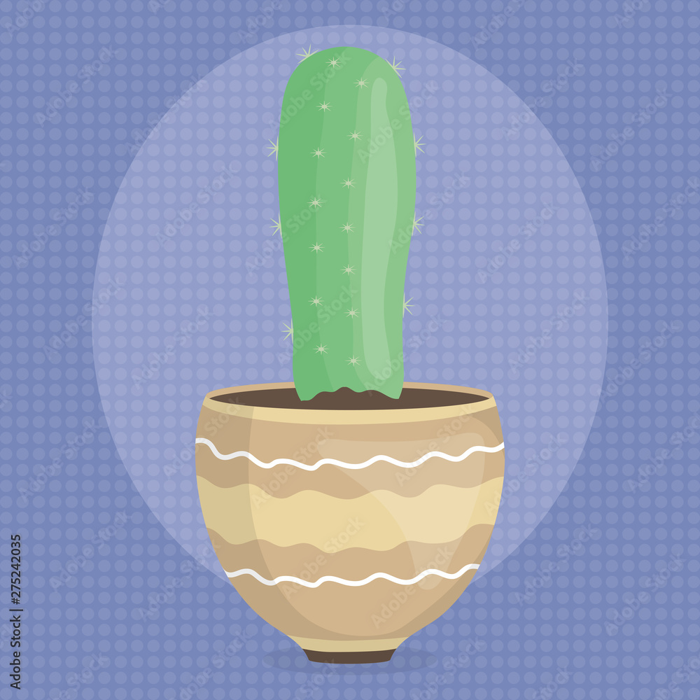 exotic cactus plant in ceramic pot