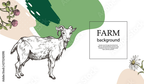 Goat and wildflowers in the style of a sketch. Template for dairy farm. Background for flyers, banners, posters.