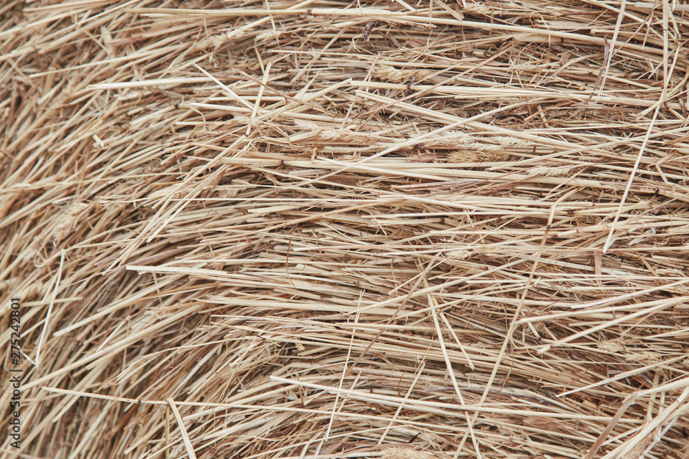 Hay abstract background close up. Straw on the floor background Hay abstract background close up. Straw on the floor background