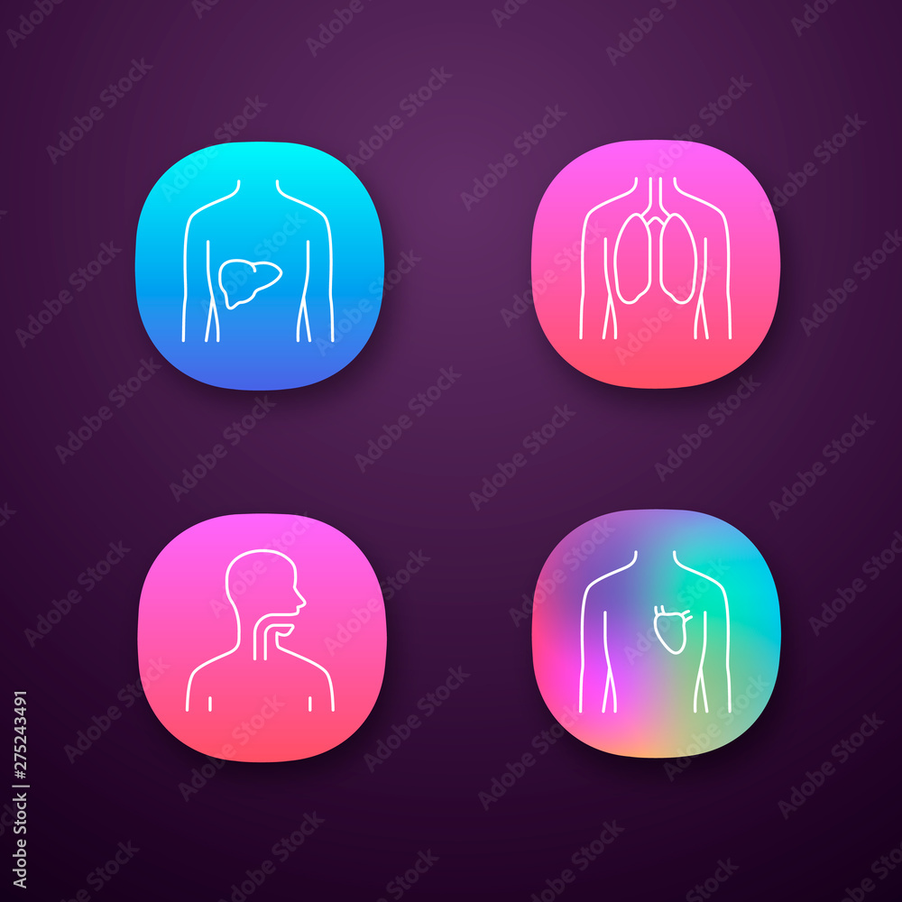 Healthy human organs app icons set. Liver and lungs in good health. Functioning heart. Wholesome throat. UI/UX user interface. Web or mobile applications. Vector isolated illustrations Healthy human organs app icons set. Liver and lungs in good health. Functioning heart. Wholesome throat. UI/UX user interface. Web or mobile applications. Vector isolated illustrations